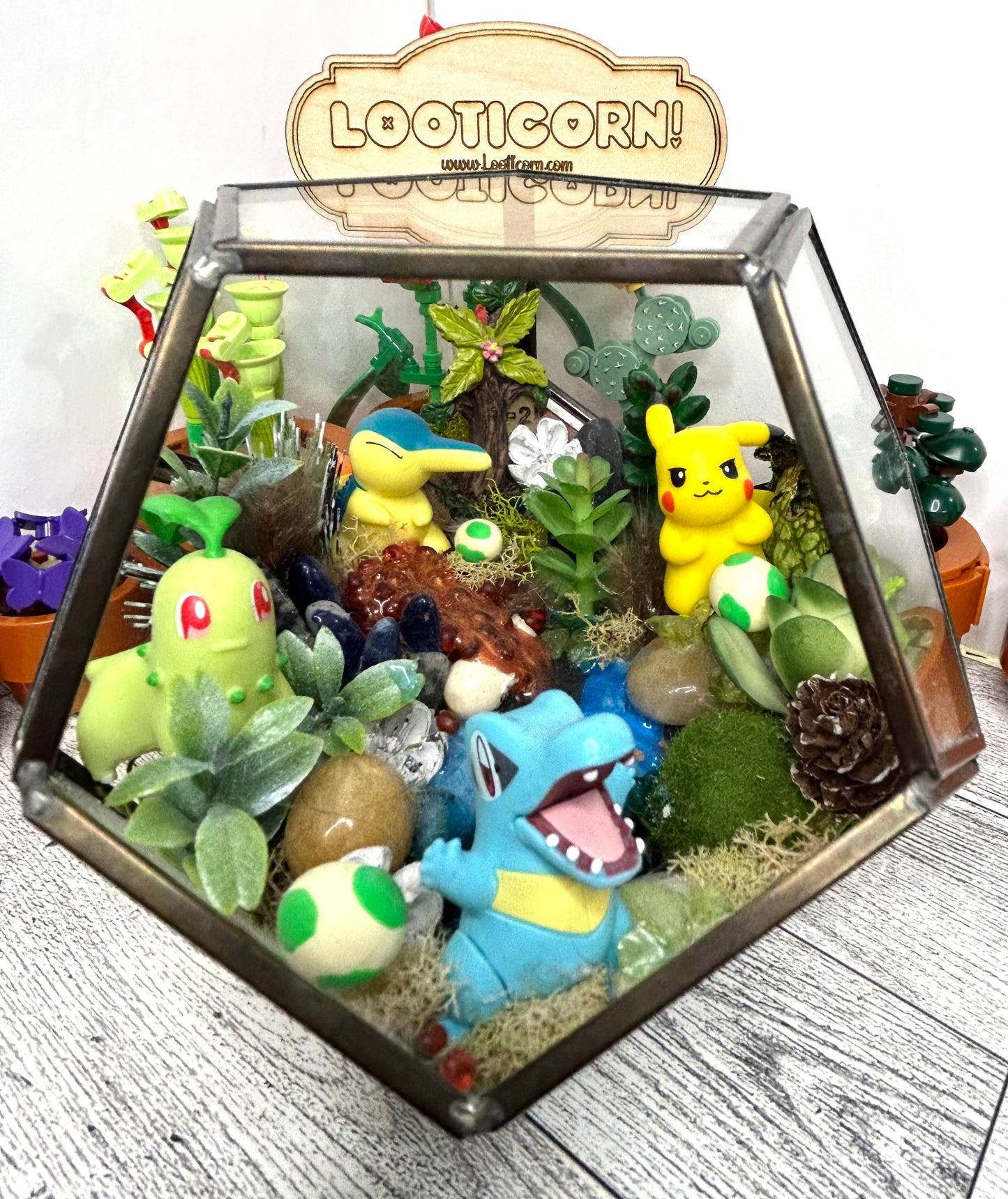 Poke inspired habitat terrarium
